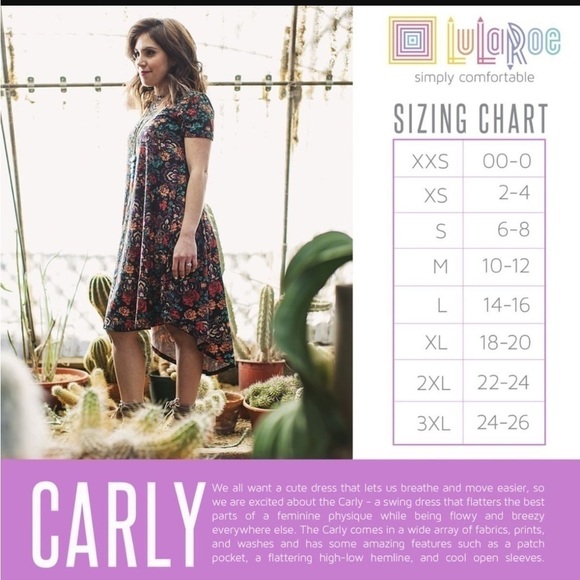 LulaRoe Carly Swing Dress Patch Pocket High Low Hemline Plaid Pink Grey Checked - Picture 6 of 11